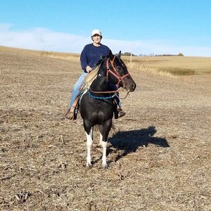 Meet your Posher, Gwenda
